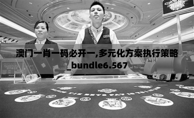 澳门一肖一码必开一,多元化方案执行策略_bundle6.567