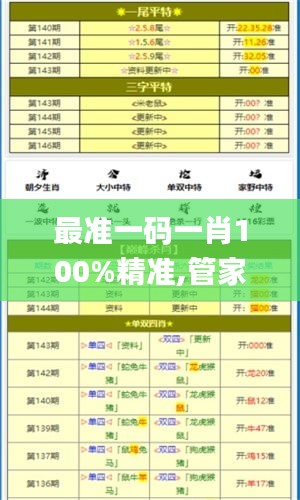 最准一码一肖100%精准,管家婆大小中特,稳定策略分析_精简版3.976