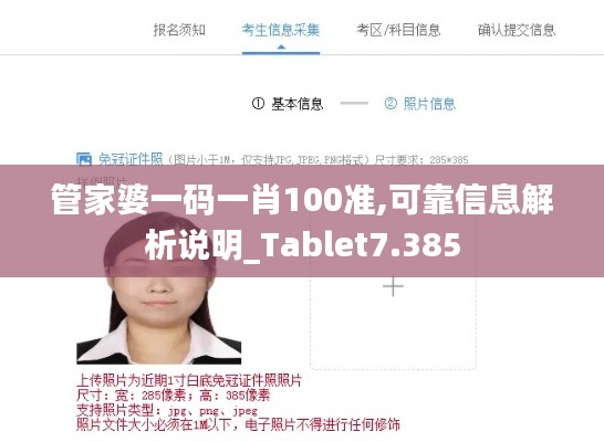 管家婆一码一肖100准,可靠信息解析说明_Tablet7.385
