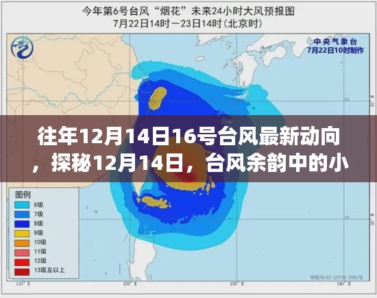 台风余韵中的小巷特色小店之旅，揭秘往年12月14日台风最新动向