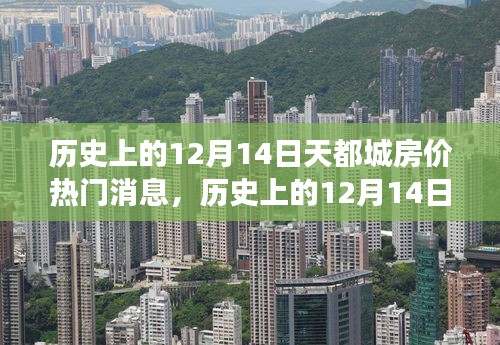衣不兼彩 第3页