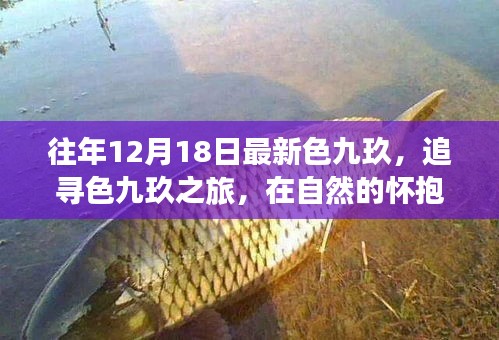 鸟惊鼠窜 第4页