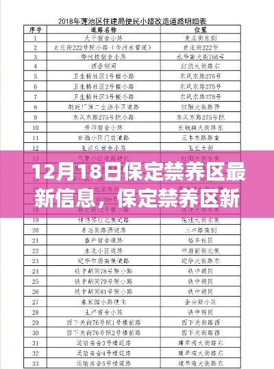 独特风情探索