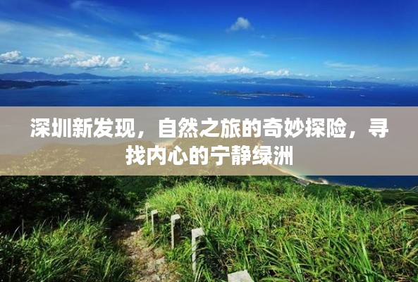 心灵绿洲