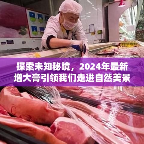 瑞雪飞舞 第3页