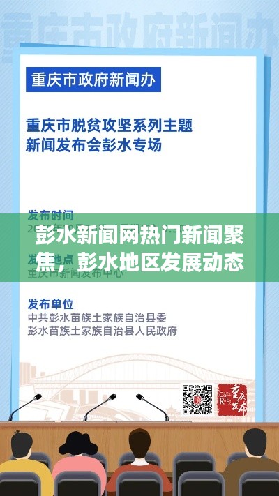 最新发展动态