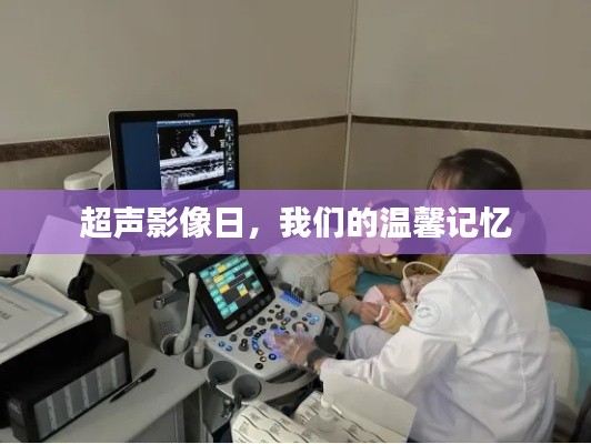 乌鸟私情 第3页
