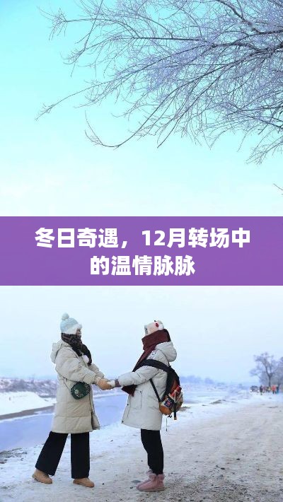 冬日奇遇