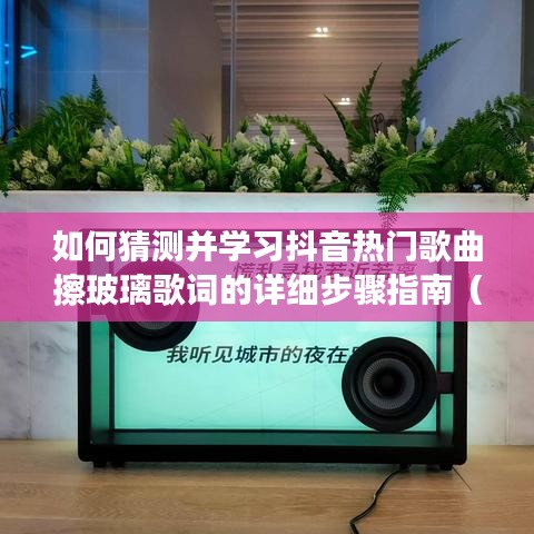 初学者与进阶用户