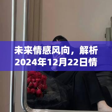 未来情感风向解析，2024年12月22日情感语录热门走向及其观点碰撞探讨