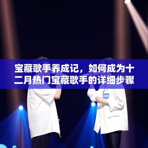 宝藏歌手养成攻略，成为十二月热门歌手的详细步骤指南