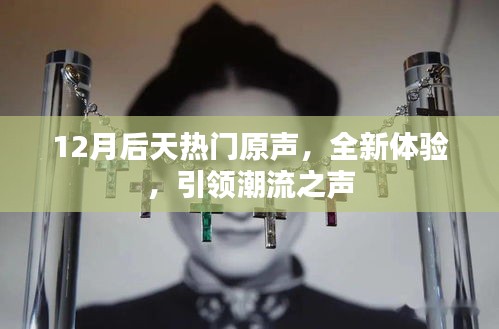 全新体验