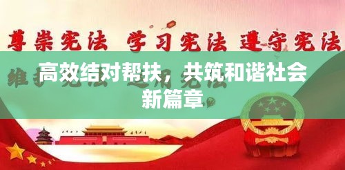 高效结对帮扶，共筑和谐社会新篇章