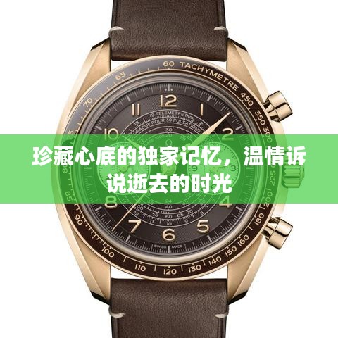 珍藏心底的独家记忆，温情诉说逝去的时光