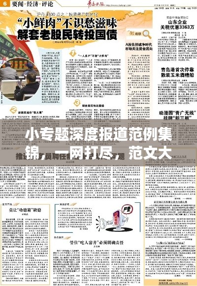 小专题深度报道范例集锦，一网打尽，范文大全引爆眼球！