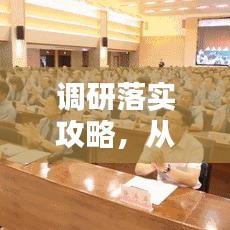 调研落实攻略，从理论到实践的全流程指南