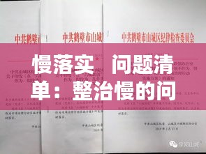 慢落实   问题清单：整治慢的问题 