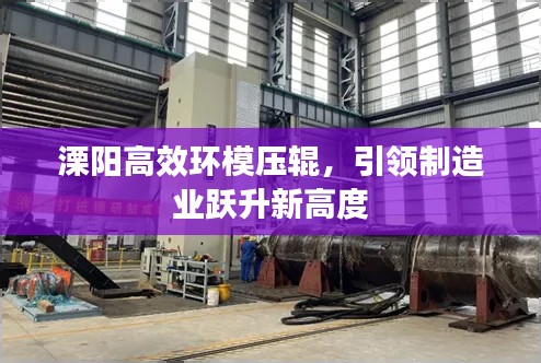 溧阳高效环模压辊，引领制造业跃升新高度
