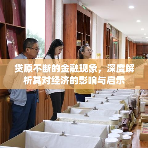 贷原不断的金融现象，深度解析其对经济的影响与启示
