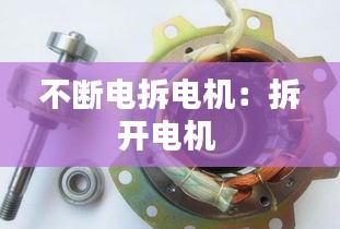 百鸟齐鸣 第3页