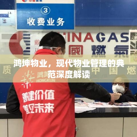 鸿坤物业，现代物业管理的典范深度解读