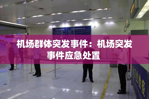 机场群体突发事件：机场突发事件应急处置 