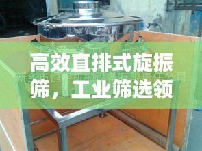 高效直排式旋振筛，工业筛选领域的新宠