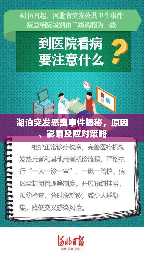 湖泊突发恶臭事件揭秘，原因、影响及应对策略
