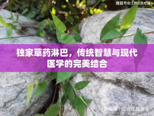 独家草药淋巴，传统智慧与现代医学的完美结合