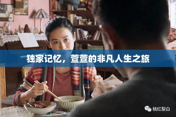 独家记忆，萱萱的非凡人生之旅