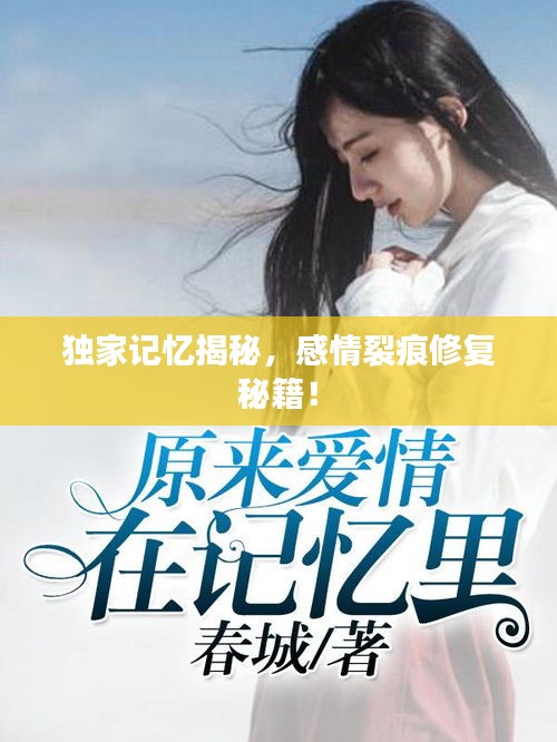 独家记忆揭秘，感情裂痕修复秘籍！