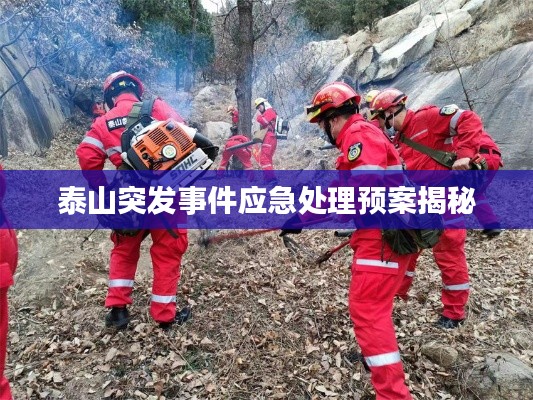泰山突发事件应急处理预案揭秘