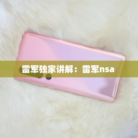 雷军独家讲解：雷军nsa 