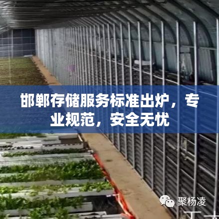邯郸存储服务标准出炉，专业规范，安全无忧