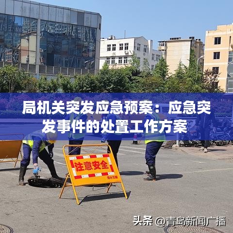 局机关突发应急预案：应急突发事件的处置工作方案 