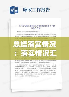 总结落实情况：落实情况汇报 