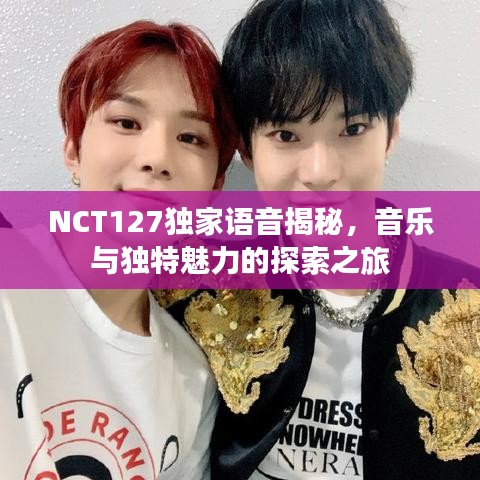 NCT127独家语音揭秘，音乐与独特魅力的探索之旅
