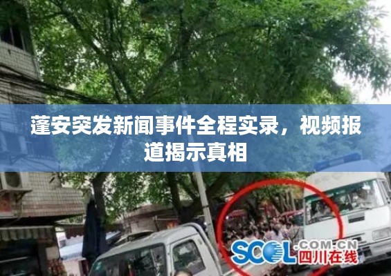蓬安突发新闻事件全程实录，视频报道揭示真相