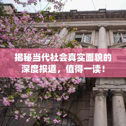揭秘当代社会真实面貌的深度报道，值得一读！