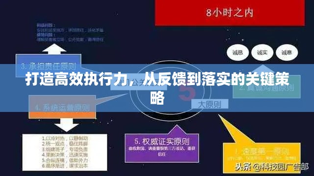 打造高效执行力，从反馈到落实的关键策略