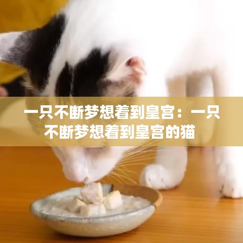 一只不断梦想着到皇宫：一只不断梦想着到皇宫的猫 