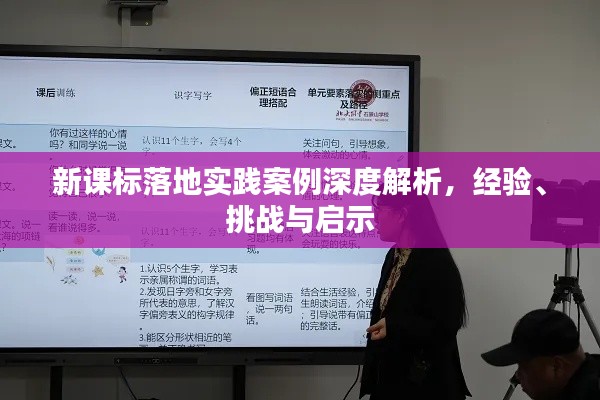 新课标落地实践案例深度解析，经验、挑战与启示