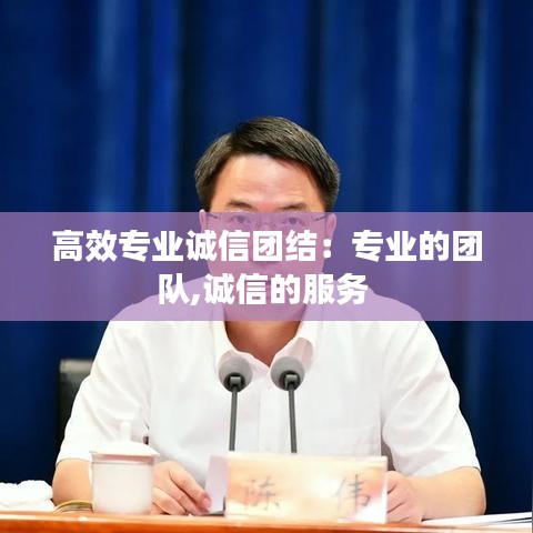 高效专业诚信团结：专业的团队,诚信的服务 