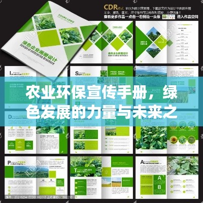 农业环保宣传手册，绿色发展的力量与未来之路