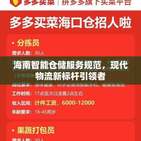 海南智能仓储服务规范，现代物流新标杆引领者