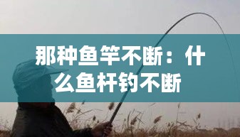 那种鱼竿不断：什么鱼杆钓不断 