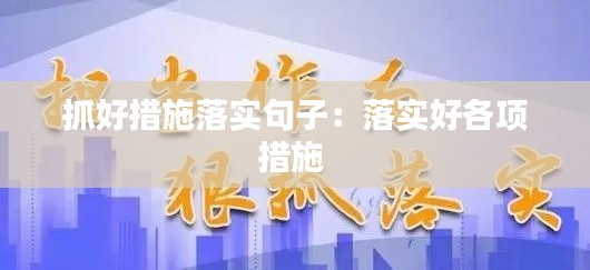 抓好措施落实句子：落实好各项措施 