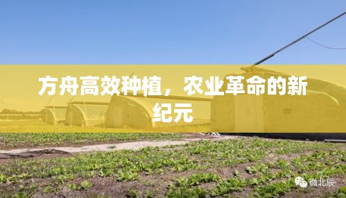 纲举目张 第2页