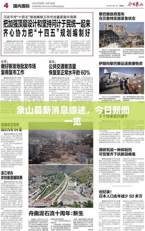 象山最新消息综述，今日新闻一览