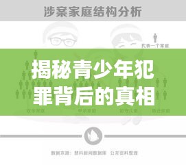 揭秘青少年犯罪背后的真相，深度剖析背后的原因与影响